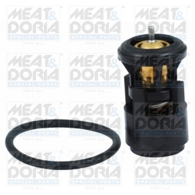 Thermostat, coolant